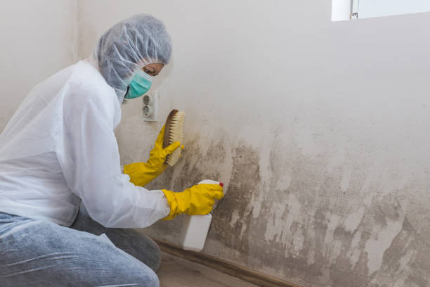 Best Post-Remediation Services in Orange Grove, TX