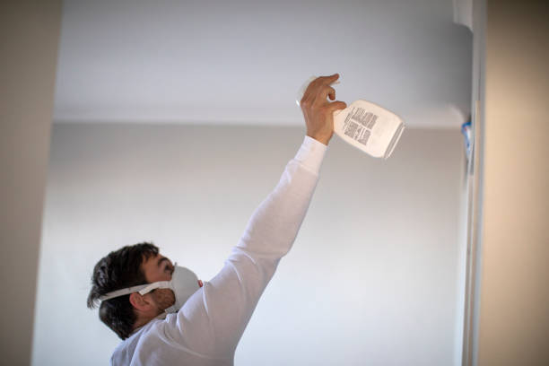 Best Mold Testing and Inspection Services in Orange Grove, TX