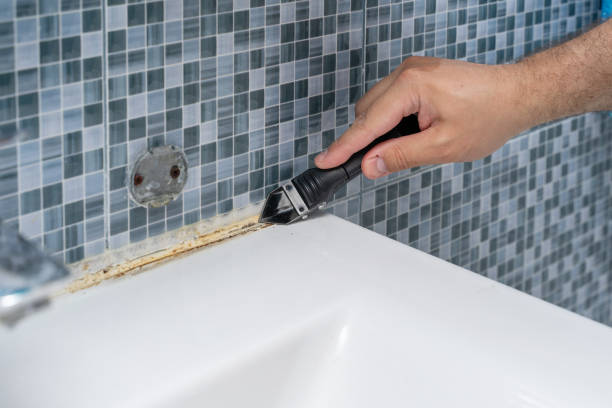 Best Basement Mold Remediation in Orange Grove, TX